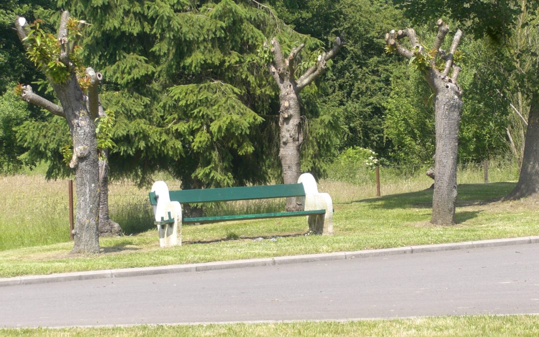 Nos arbres en danger!