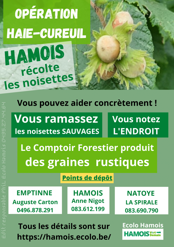 Ecolo Hamois récolte jusqu'au 15 octobre les noisettes pour l'opération Haie-cureuil